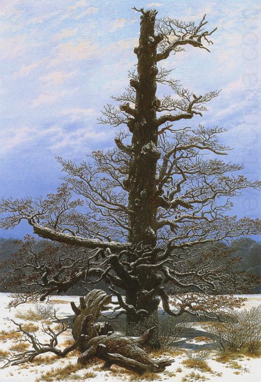 Oak Tree in the Snow (mk10), Caspar David Friedrich